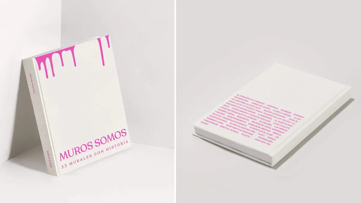 01 SOLO LA PORTADA DEL LIBRO