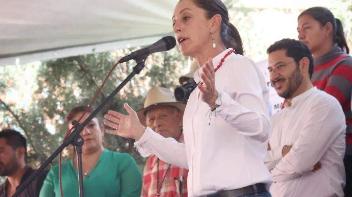 sheinbaum robert sabado