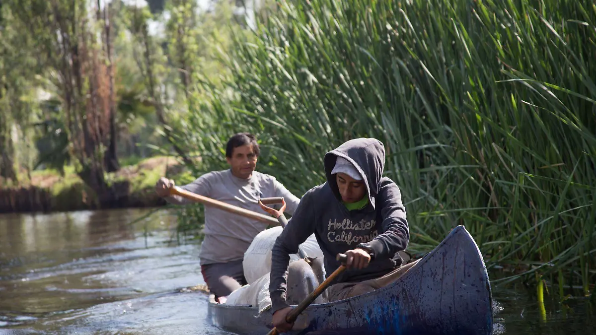 chinampas segob cdmx plan rescate cuartoscuros (3)