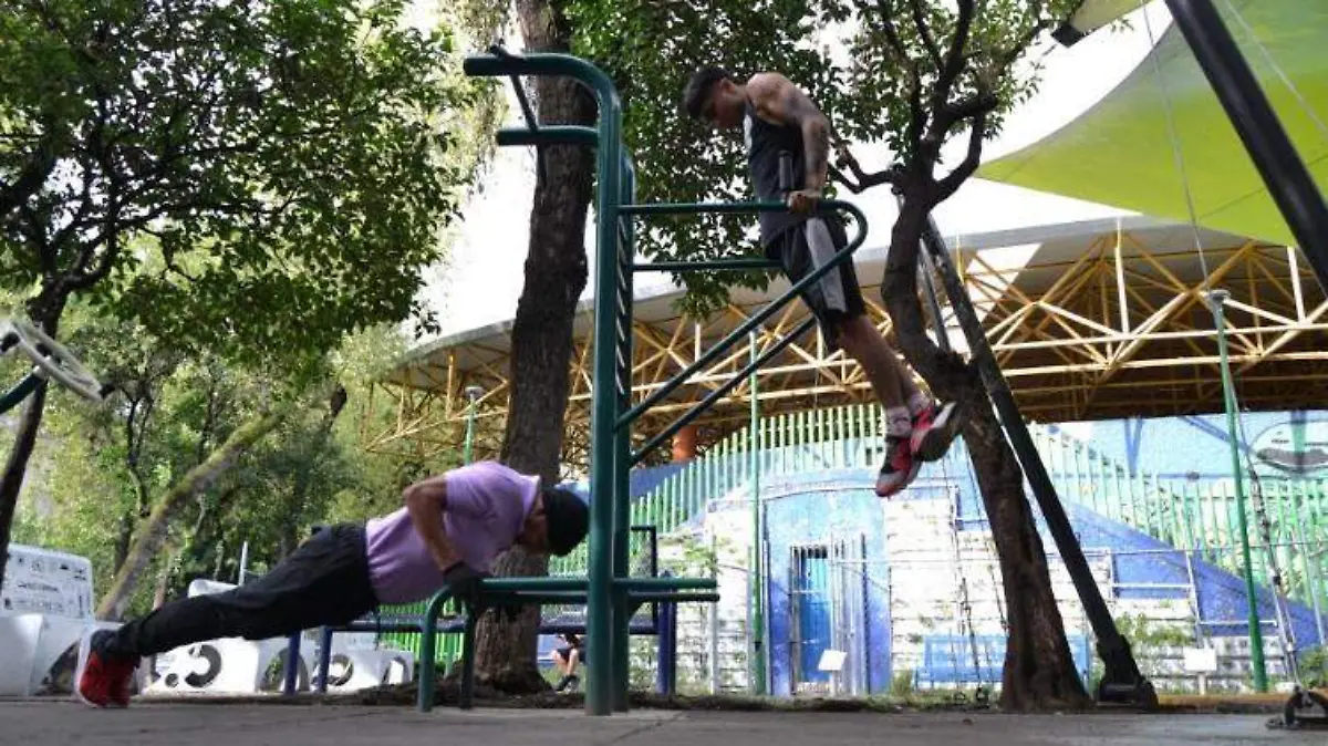 gimnasios