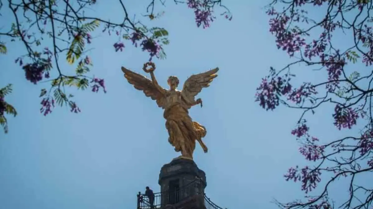 Ciudad de Mexico_vida cotidiana_Angel de la Independencia