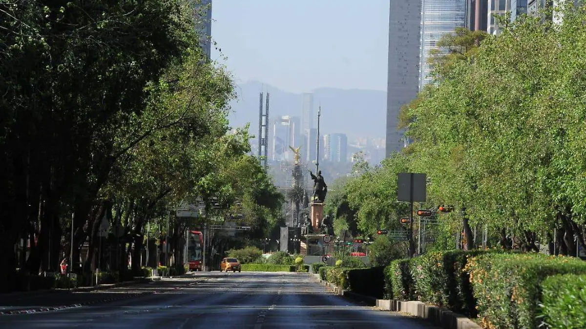 adrian vazquezcontaminacion
