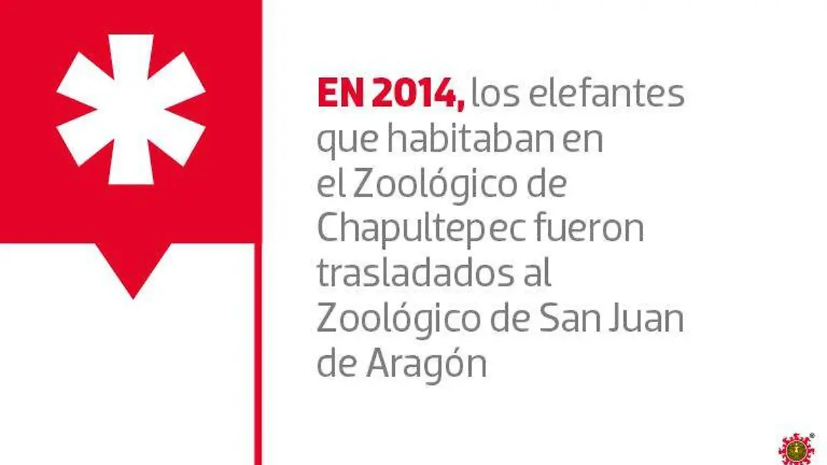 METROPOLI_ZOOLOGICO_1