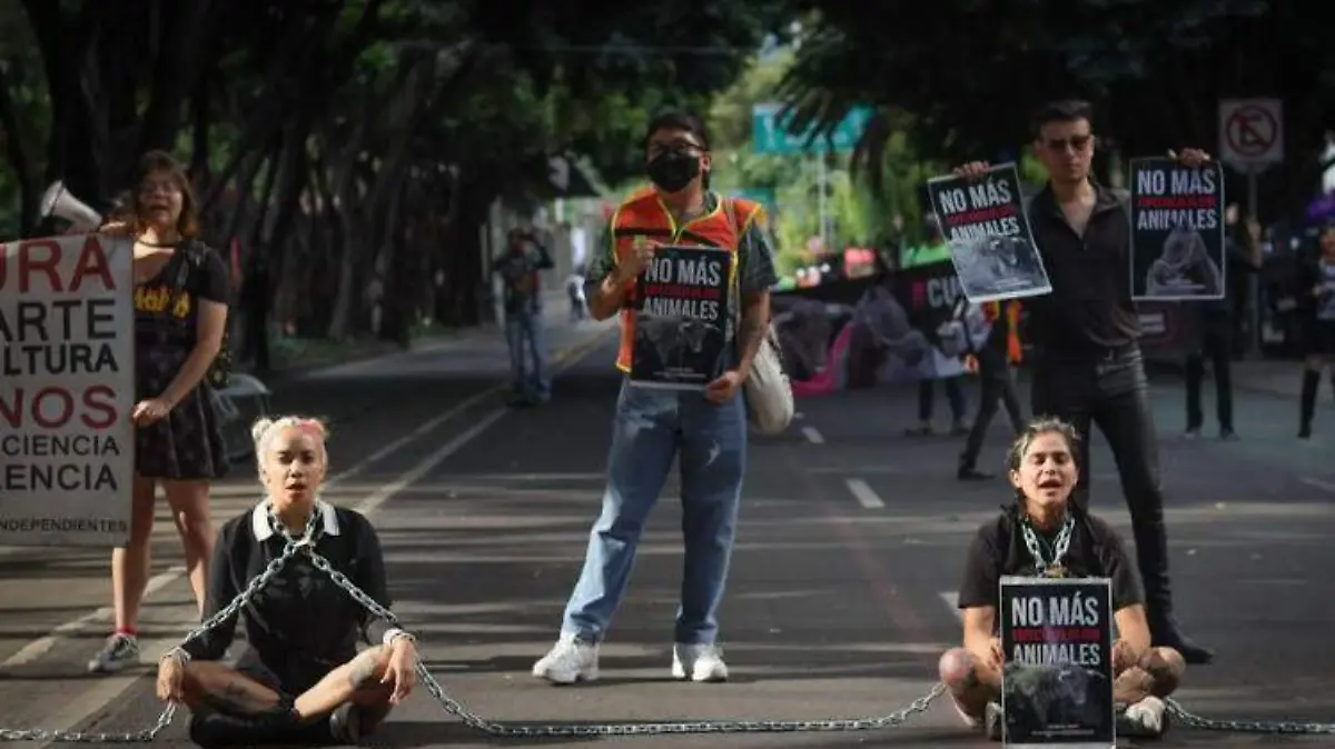 manifestantes