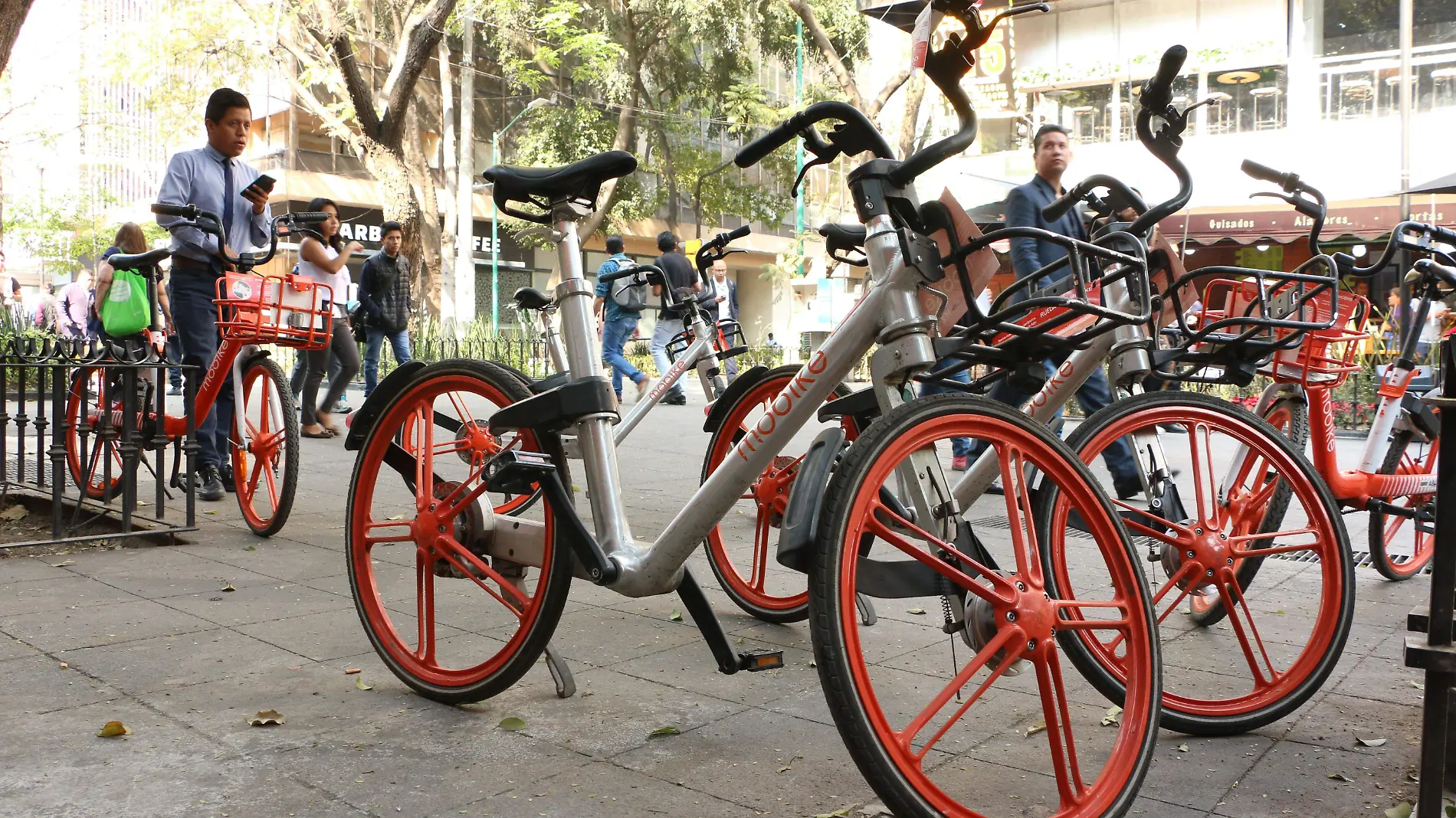 BICICLETAS-sin-anclaje-cuartoscuro