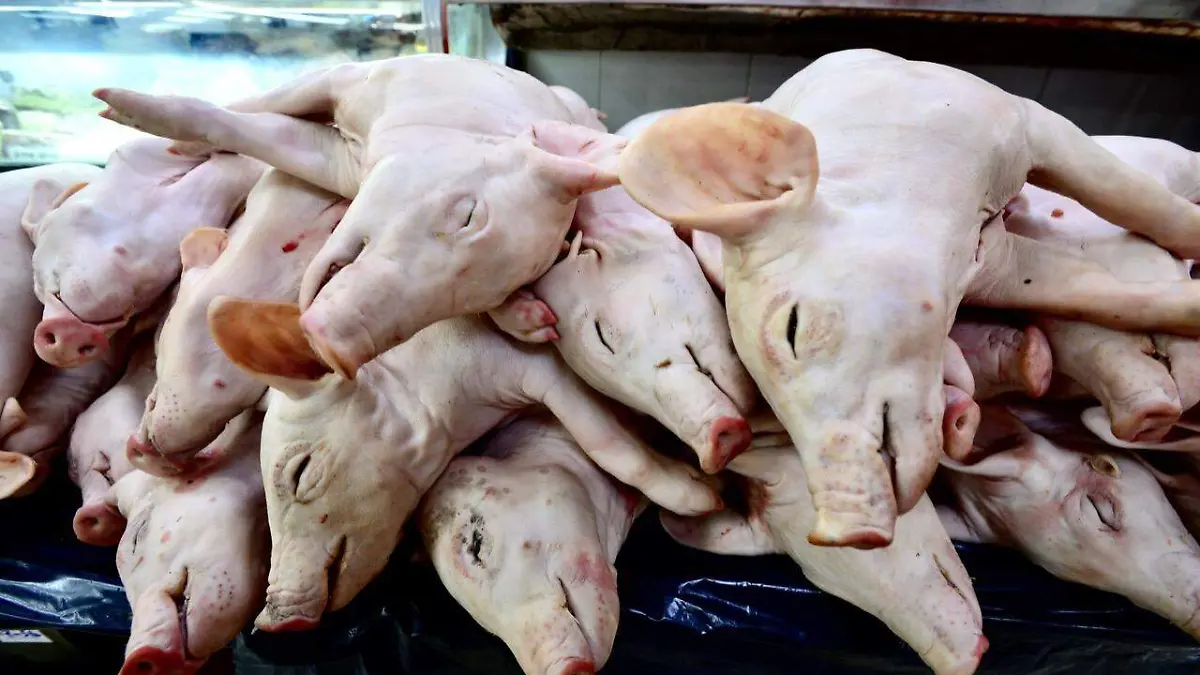 mercado de san juan carne exotica navidad año nuevo 2020 cdmx (4)