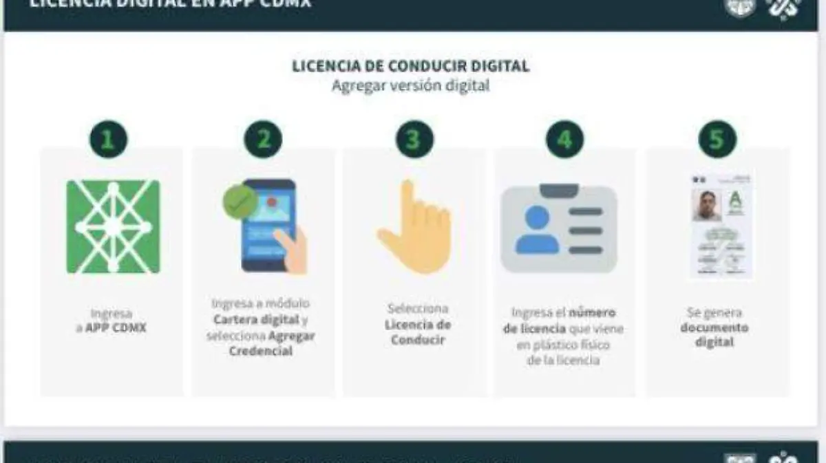 consulta licencia digital
