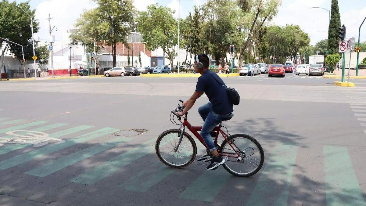 Ordenan instalar ciclovía en División del Norte tras invasión de automovilistas