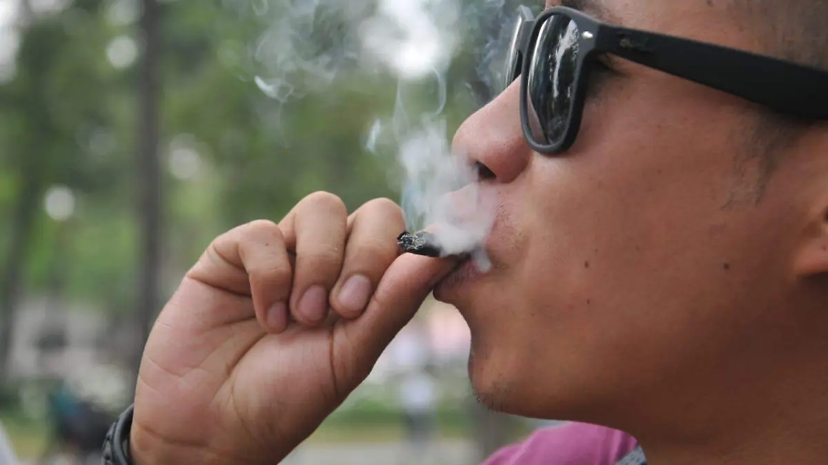 marcha cannabis marihuana daniel hidalgo el sol de mexico (3)