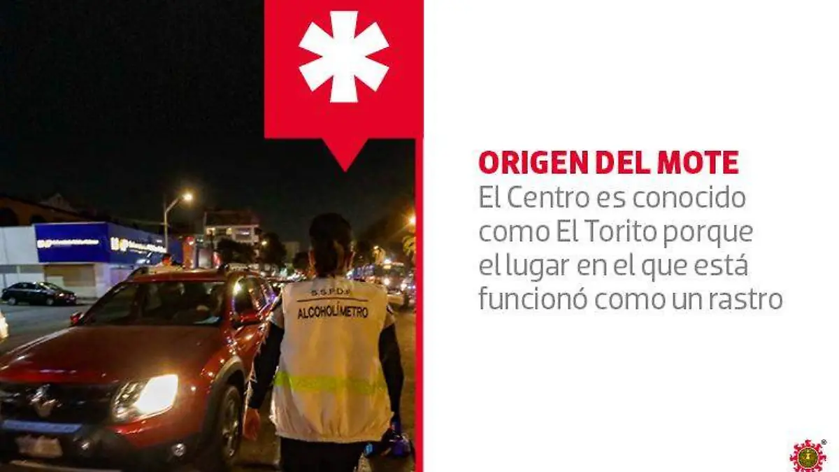 metropoli_torito_1