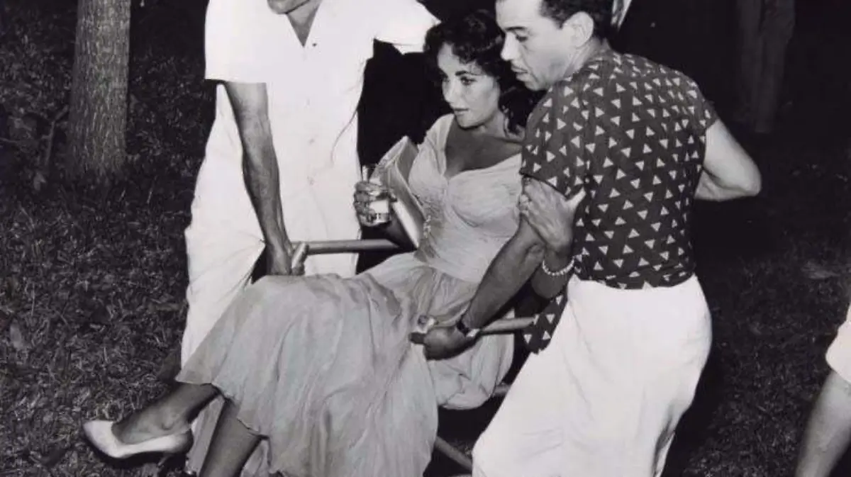 liztaylor-boda