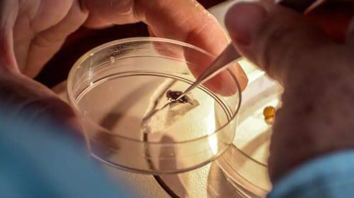 e6530034-08de-48df-8122-be7cdd347d20