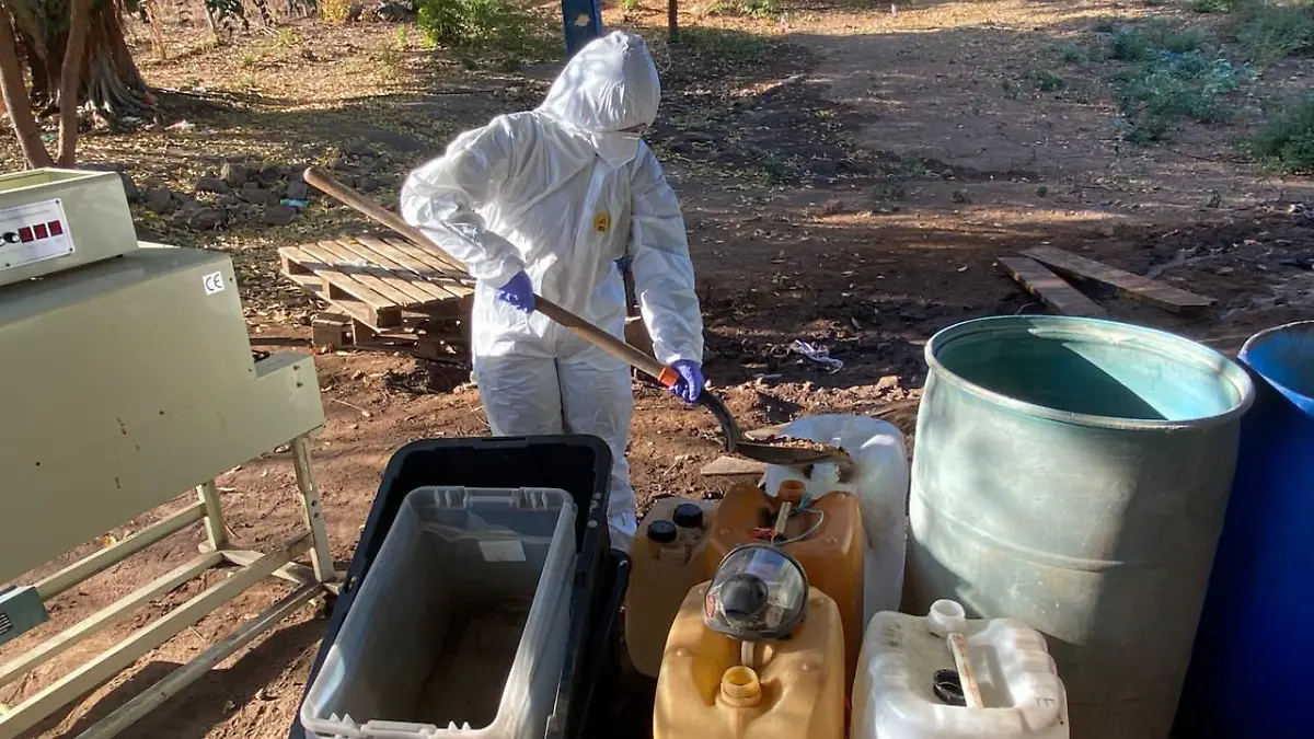 Incautan droga en Sinaloa 1