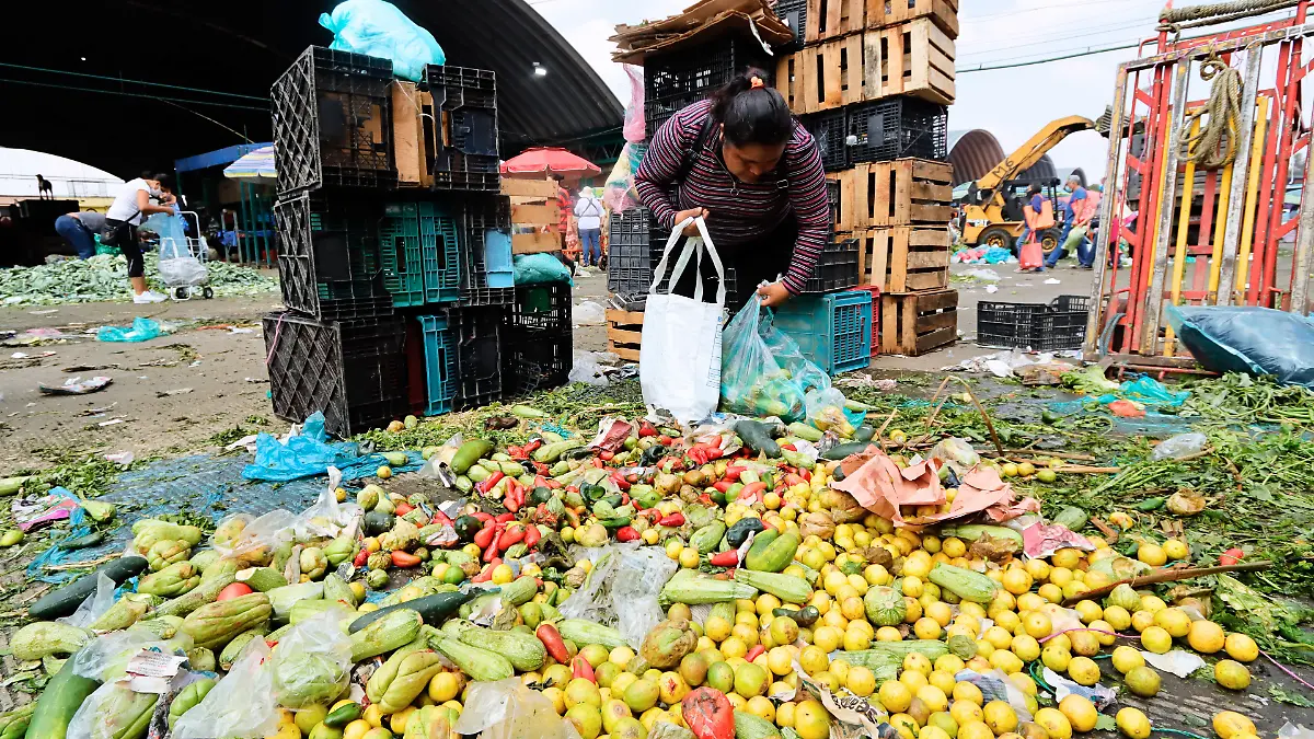 recolección_de_verduras_central_de_abastos_1