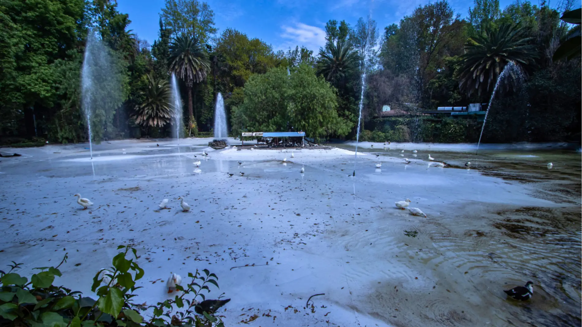 fuente_parque_méxico_