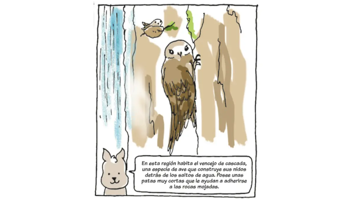 Pedacitos de historia