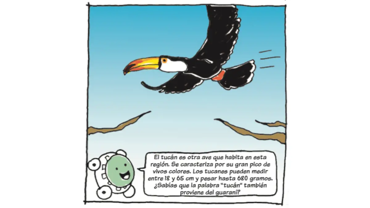 Pedacitos de historia