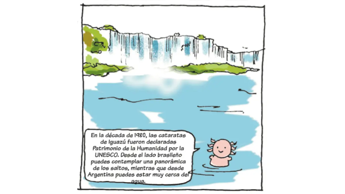 Pedacitos de historia