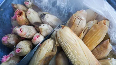 Tamal - El Sol de México | Noticias, Deportes, Gossip, Columnas