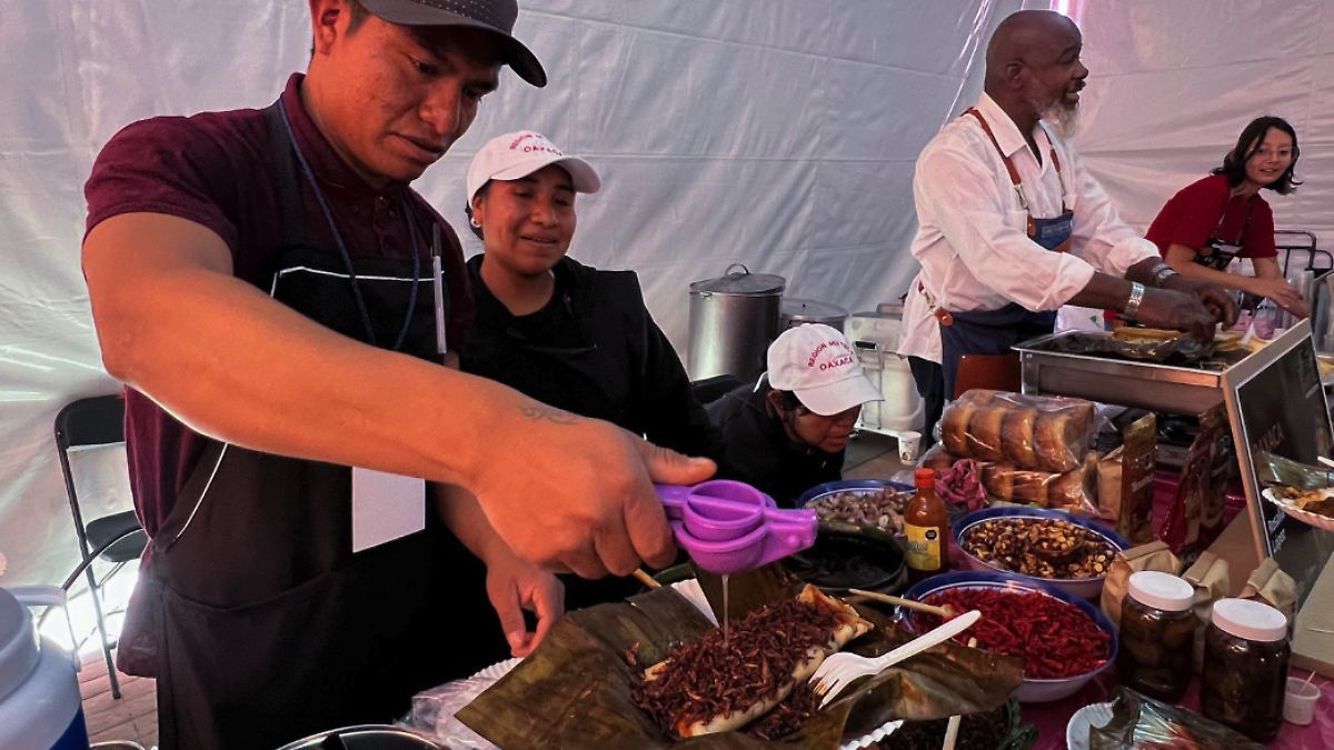 Inauguran La Feria del Tamal 2025 en Coyoacán - El Sol de México |  Noticias, Deportes, Gossip, Columnas