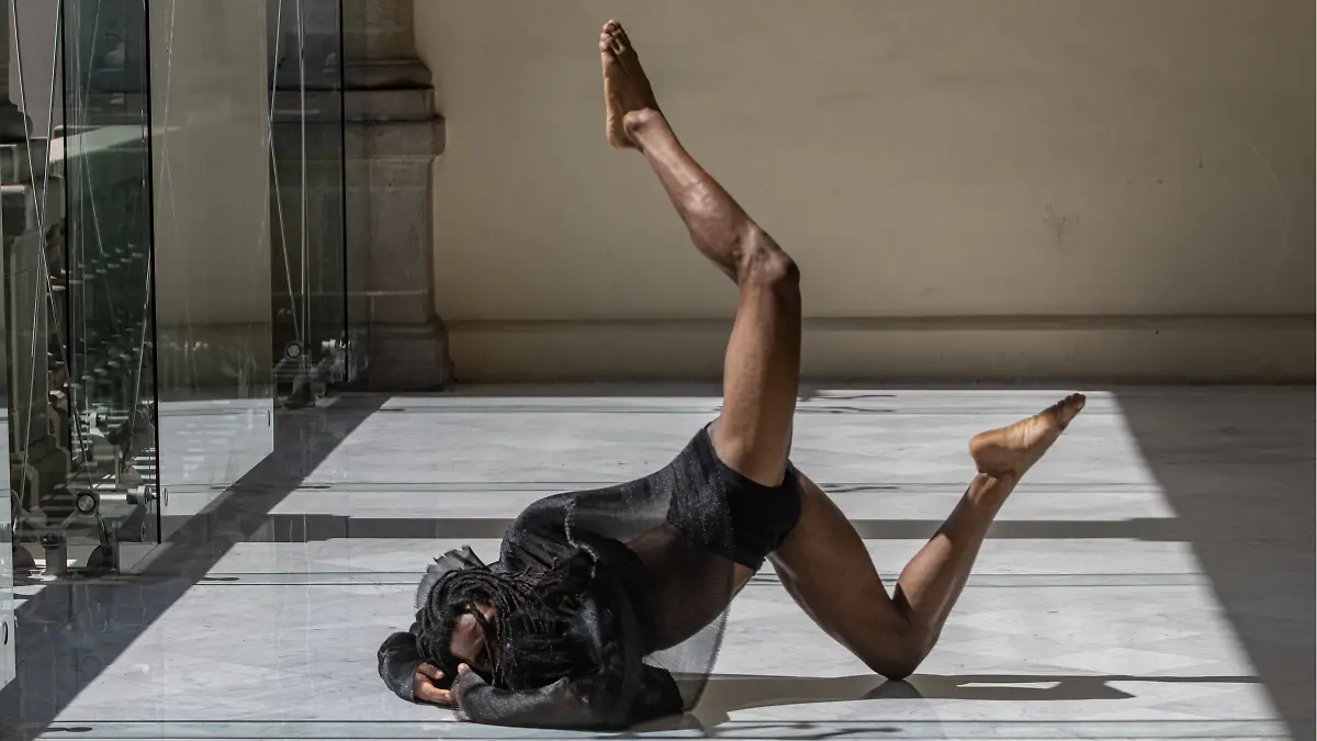 cisne negro chapultepec