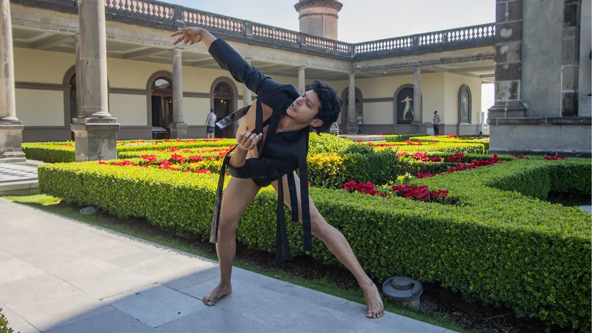 cisne negro chapultepec1