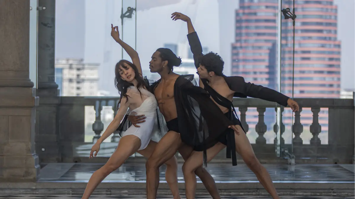 cisne negro chapultepec5