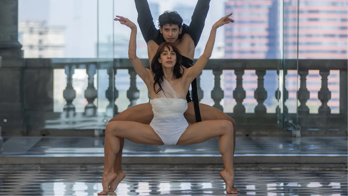 cisne negro chapultepec6