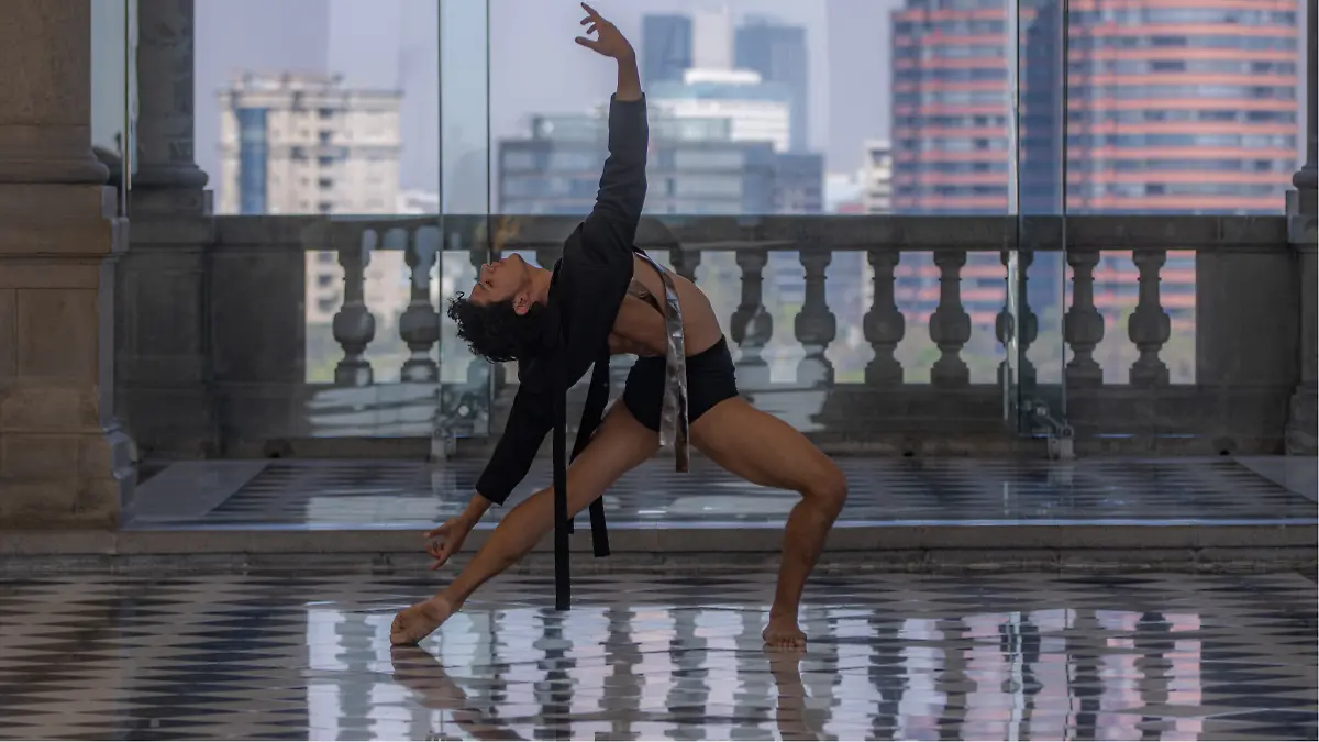 cisne negro chapultepec7