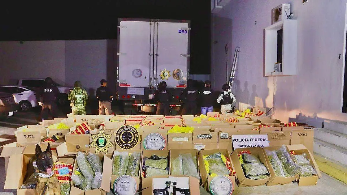 Decomisan droga en Yucatán-OK