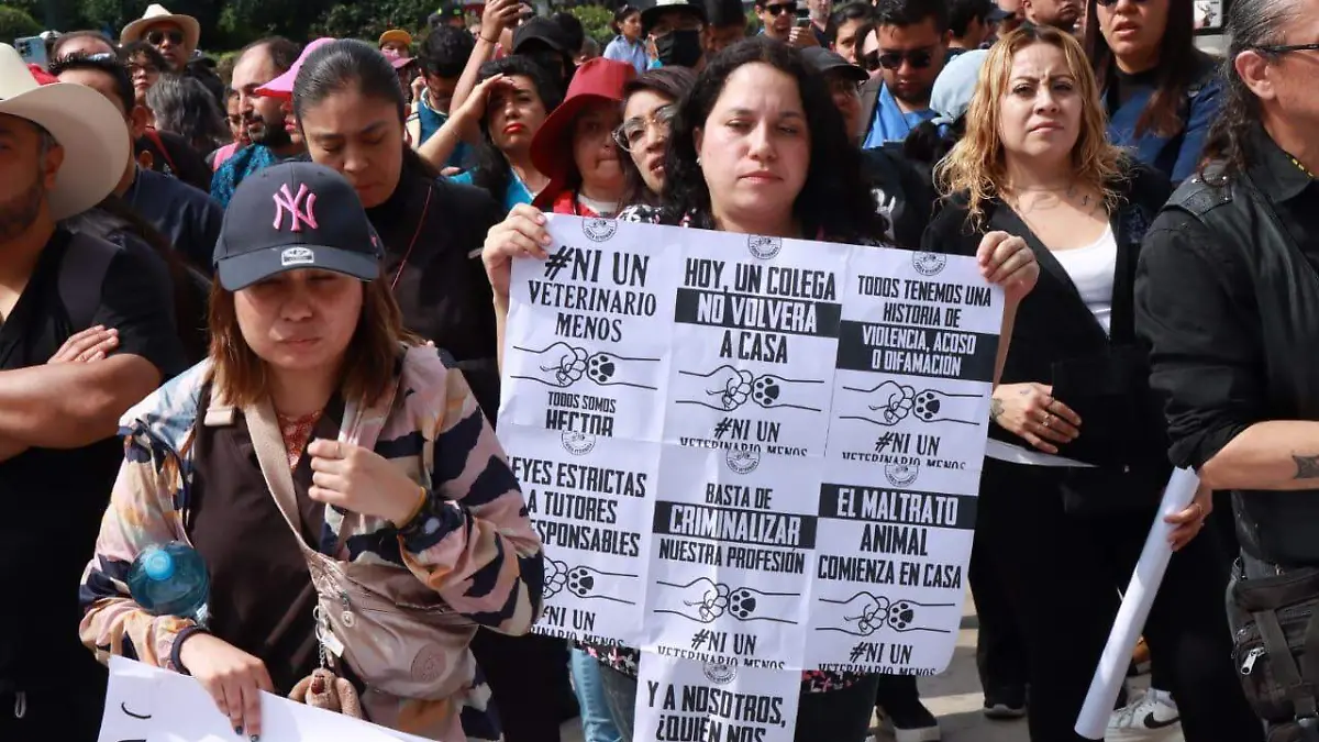 WhatsApp Image 2025-02-18 at 11.20.41 AM (2).jpeg