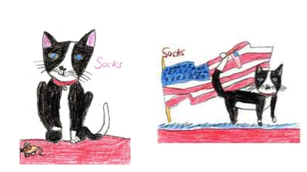 Dibujos a Socks Clinton