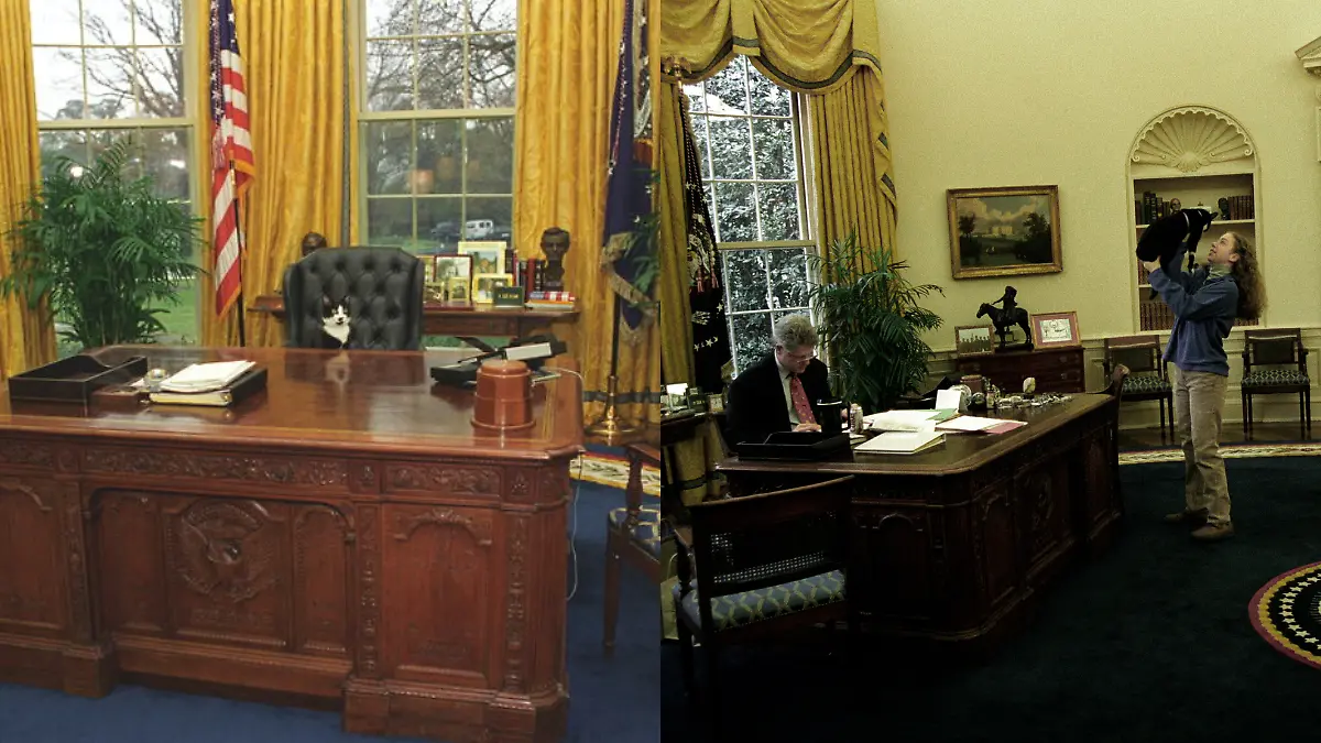 Socks en la oficina presidencial