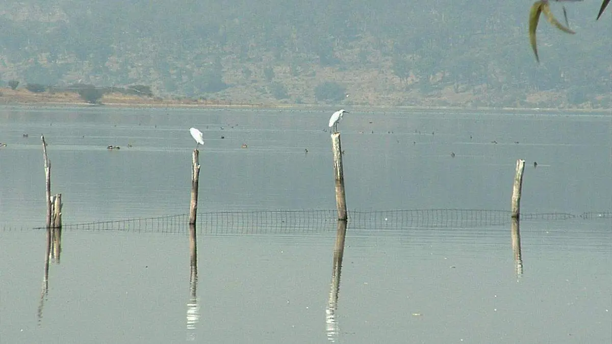 LAGO DE GUADALUPE-AGUA PARA LA METROPOLI-cuartoscuro archivo (4)