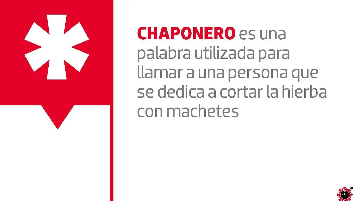 MET-VOLUNTARIOS BUSCAN PREVENIR INCENDIOS-1.jpg