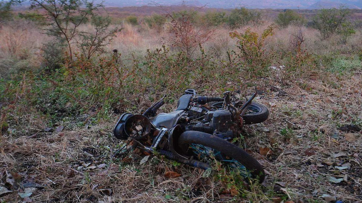 Diseño sin título (21).jpg