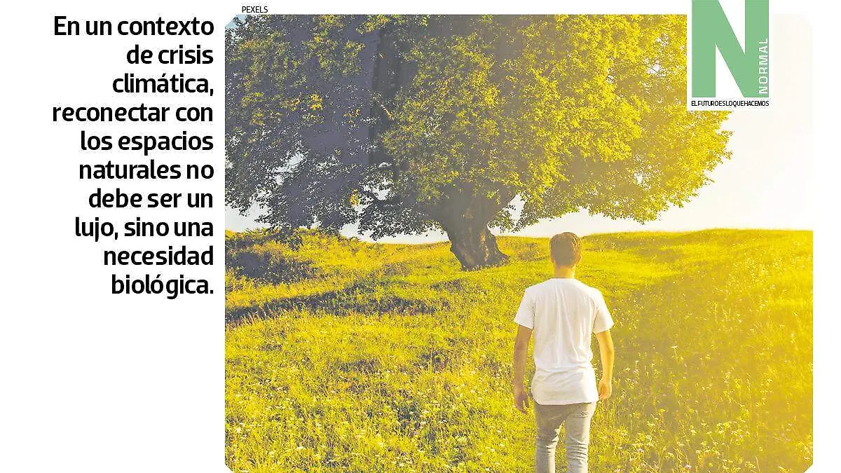 oxigeno SITIO4
