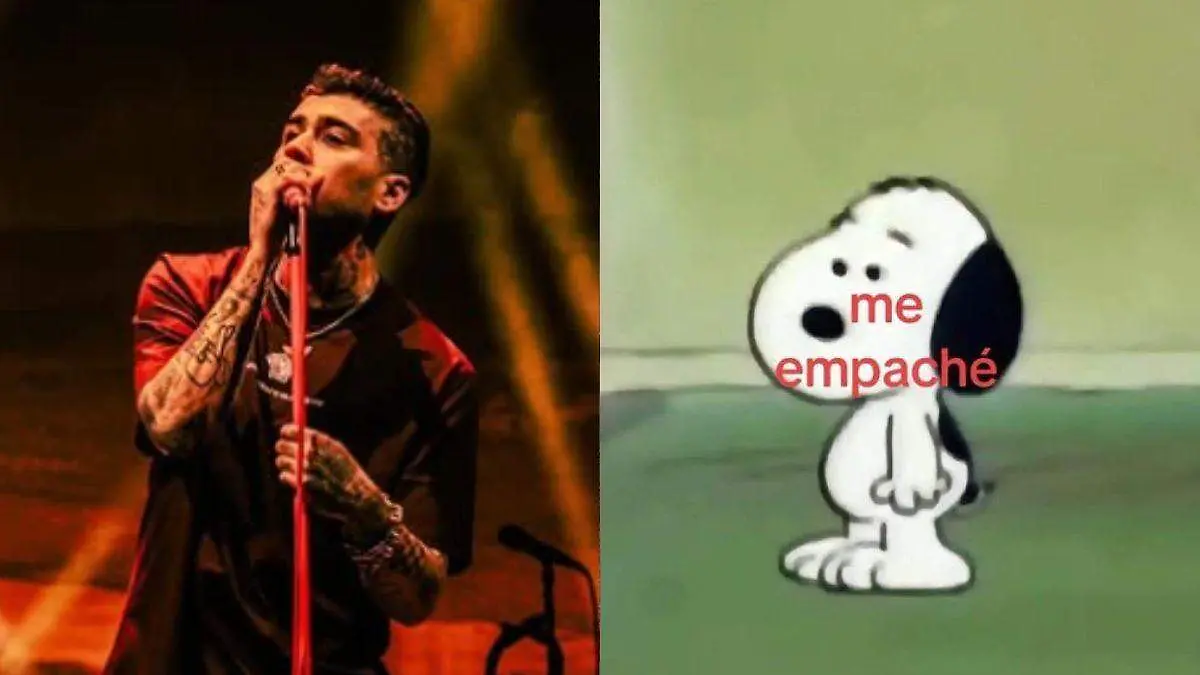 Zayn Malik-memes