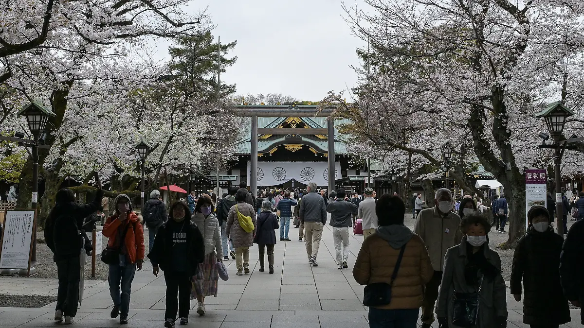 Flor de Cerezo en Tokio 4