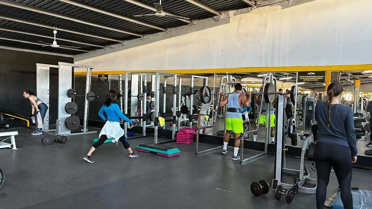 Sector Fitness4