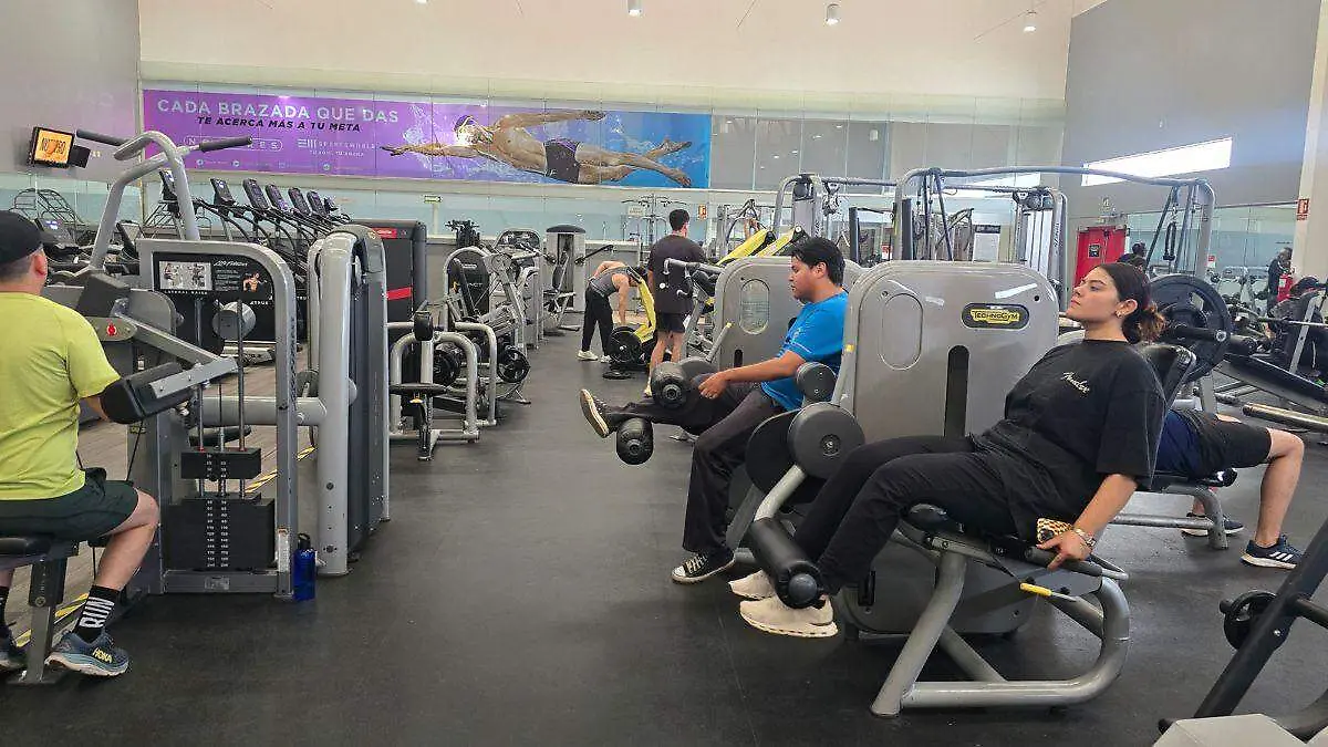 Sector Fitness2