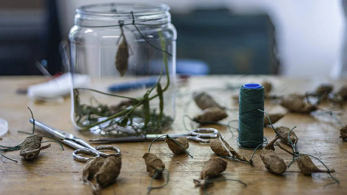 MARIPOSAS-GUARDERIA-nadya murillo