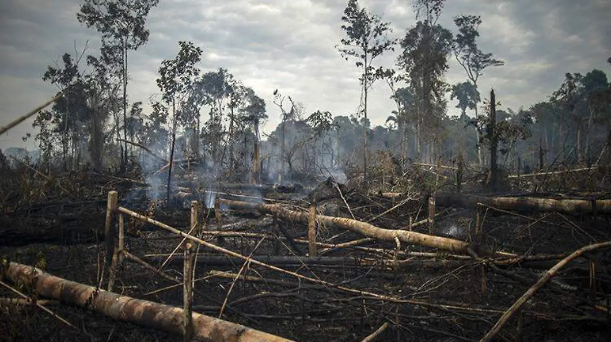 el amazonas