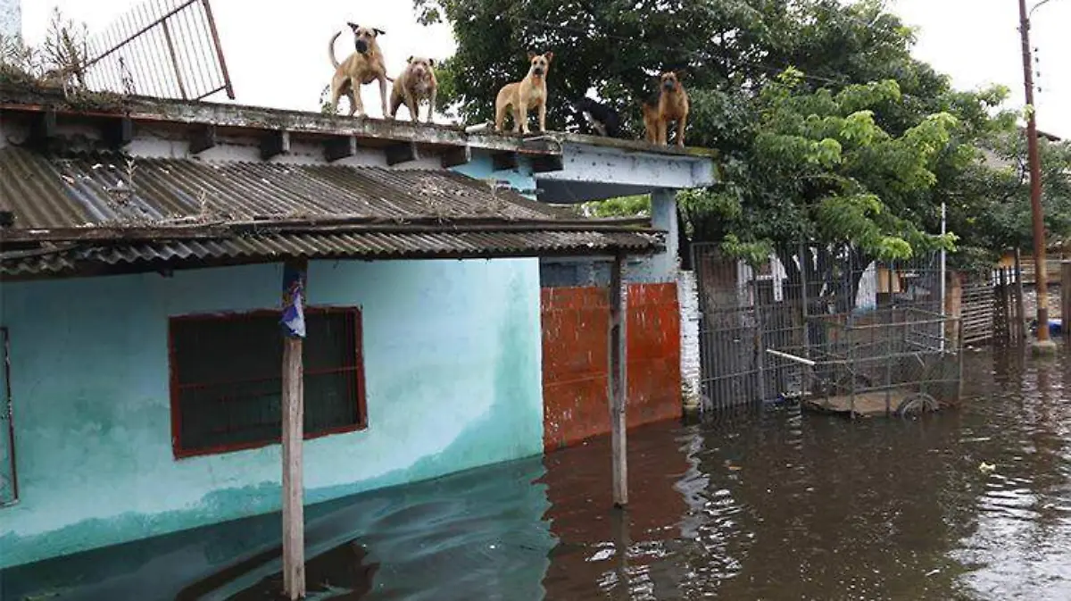 iran-inundaciones-efe1