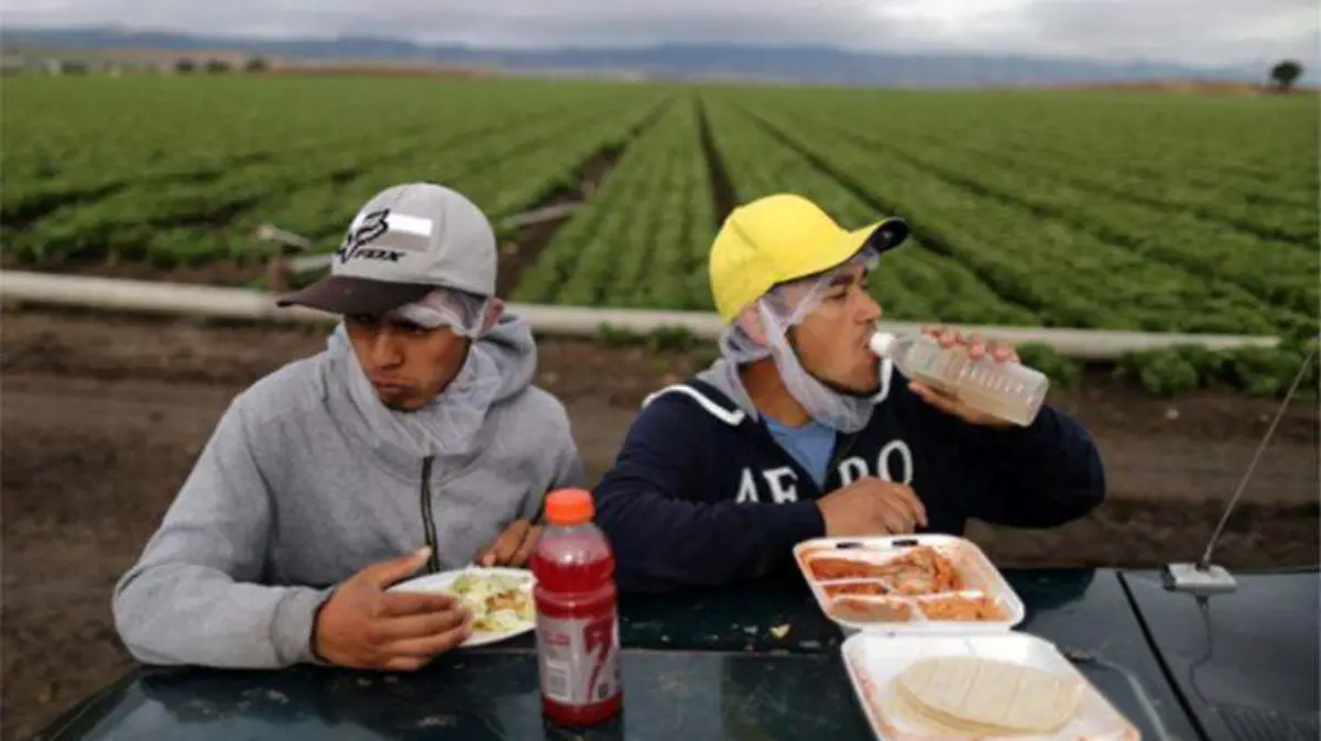 trabajadores migrantes