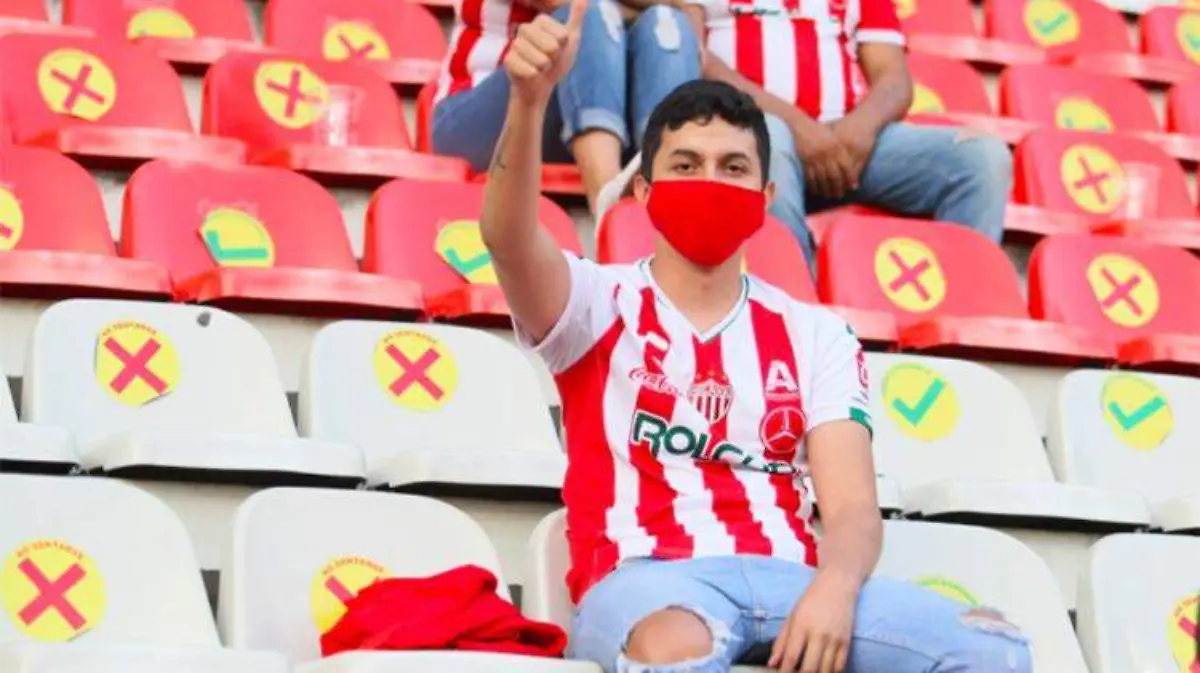 necaxa aficionado