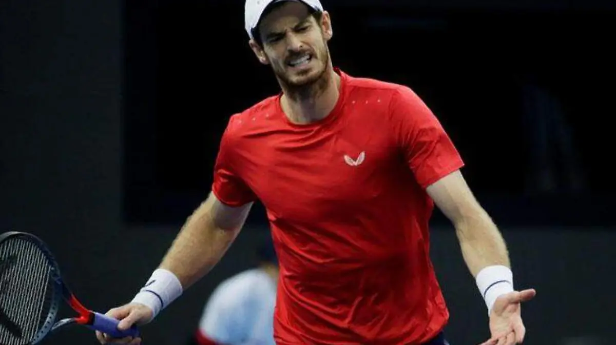 andy murray