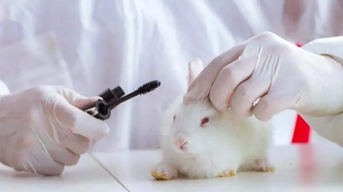pruebas animales