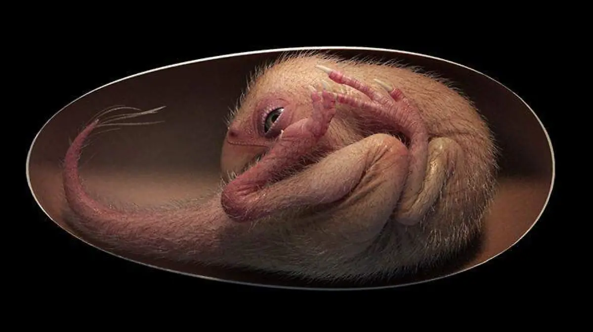 embrión de dinosaurio