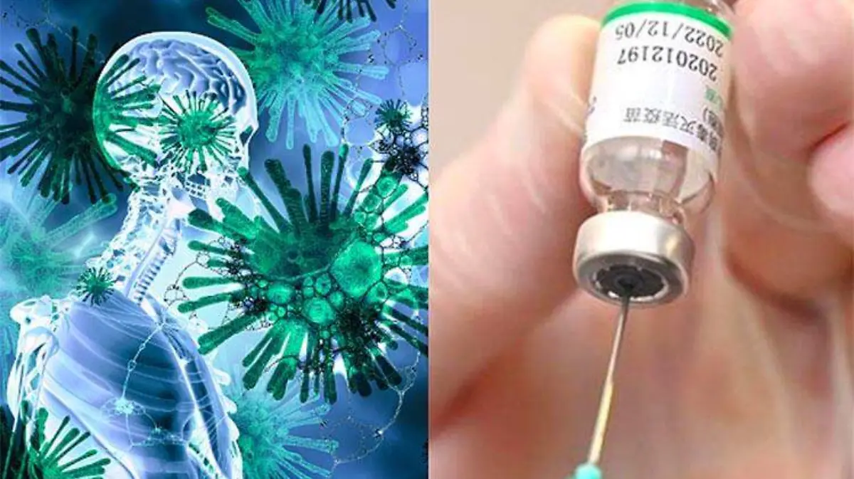 collage-coronavirus